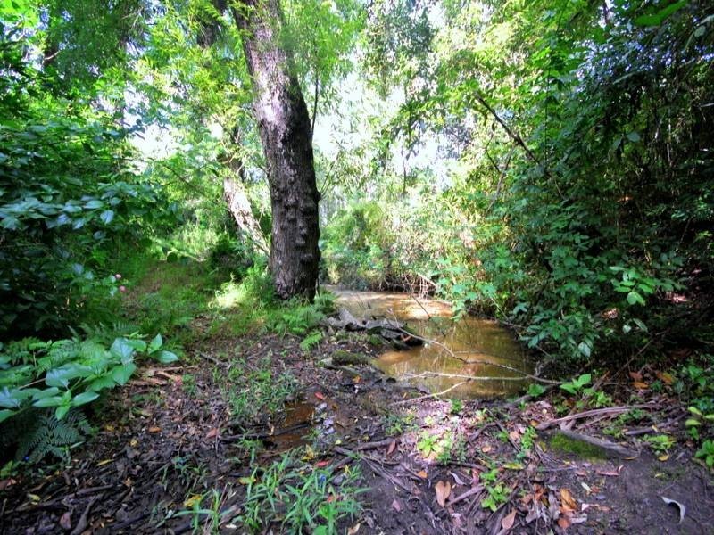 30 Siletta Road, Niagara Park NSW 2250