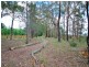 59 Baines Road, Mangrove Mountain NSW 2250