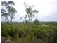 59 Baines Road, Mangrove Mountain NSW 2250