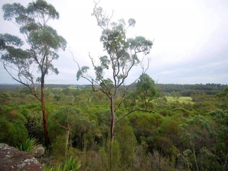 59 Baines Road, Mangrove Mountain NSW 2250