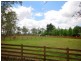 59 Baines Road, Mangrove Mountain NSW 2250