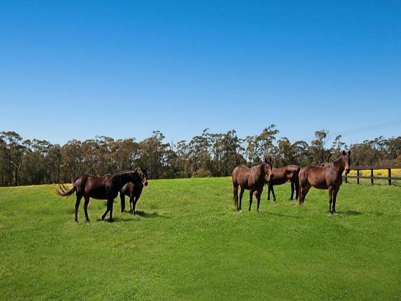 140 Hallards Road, Central Mangrove NSW 2250