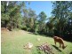 34 Ourimbah Street, Lisarow NSW 2250