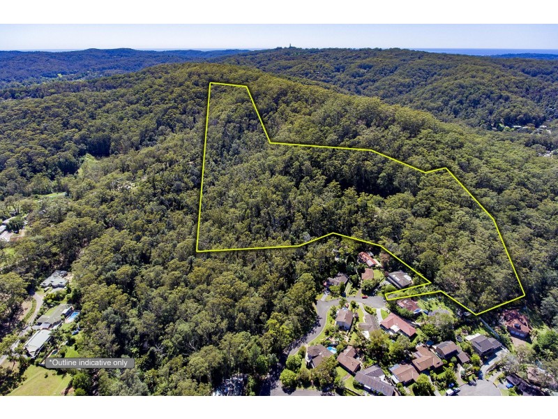 11 Drumalbyn Close, Wyoming NSW 2250