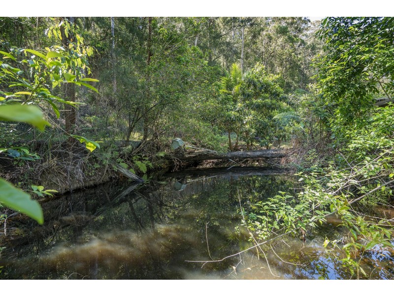 11 Drumalbyn Close, Wyoming NSW 2250