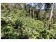 11 Drumalbyn Close, Wyoming NSW 2250