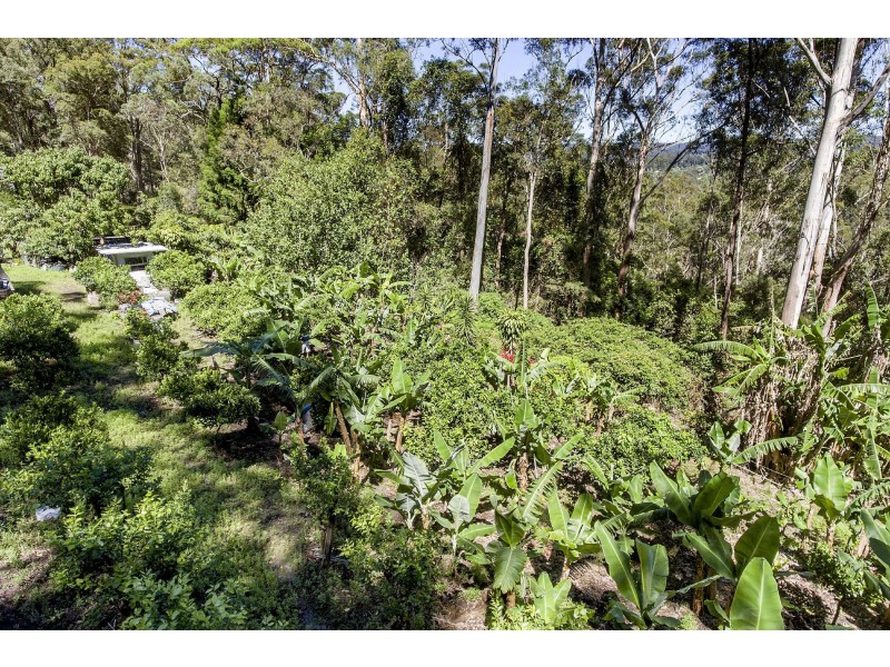 11 Drumalbyn Close, Wyoming NSW 2250