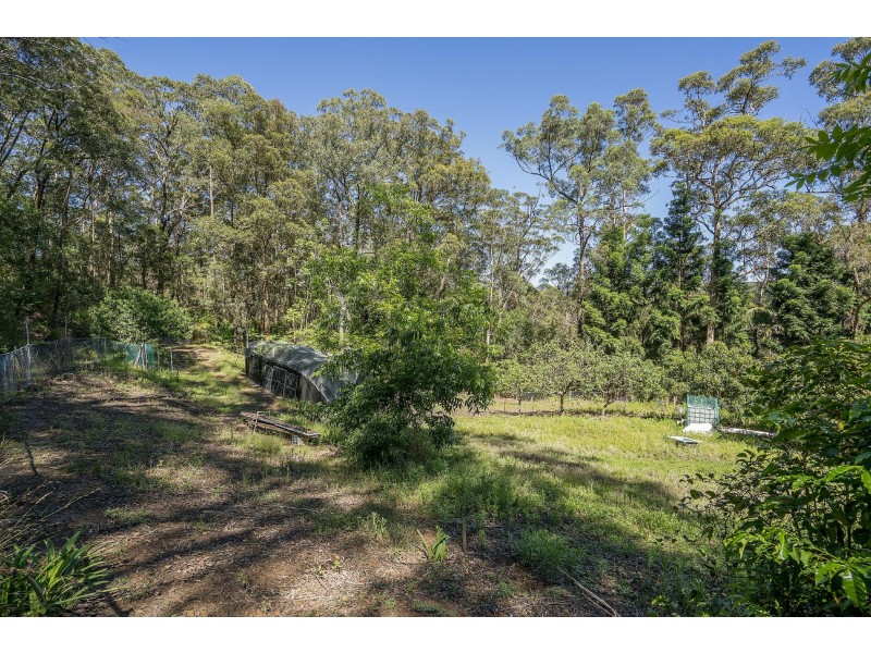 11 Drumalbyn Close, Wyoming NSW 2250