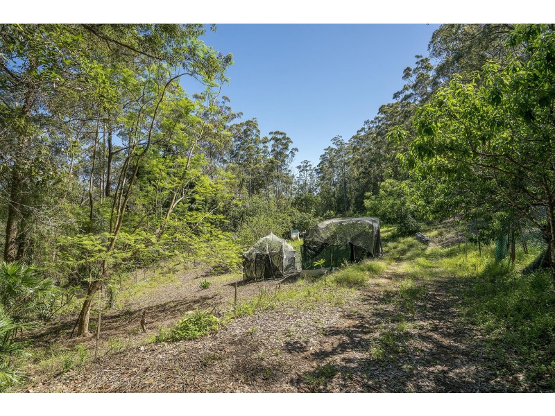 11 Drumalbyn Close, Wyoming NSW 2250