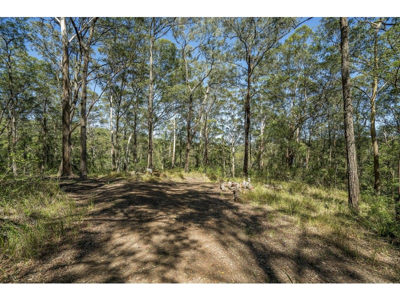 11 Drumalbyn Close, Wyoming NSW 2250