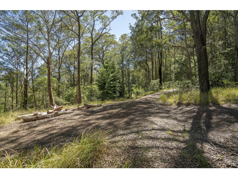 11 Drumalbyn Close, Wyoming NSW 2250