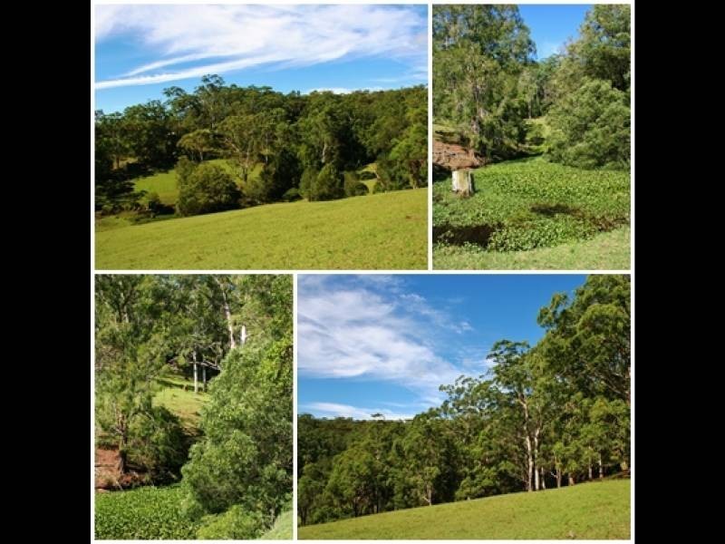 51 Coorara Road, Lisarow NSW 2250