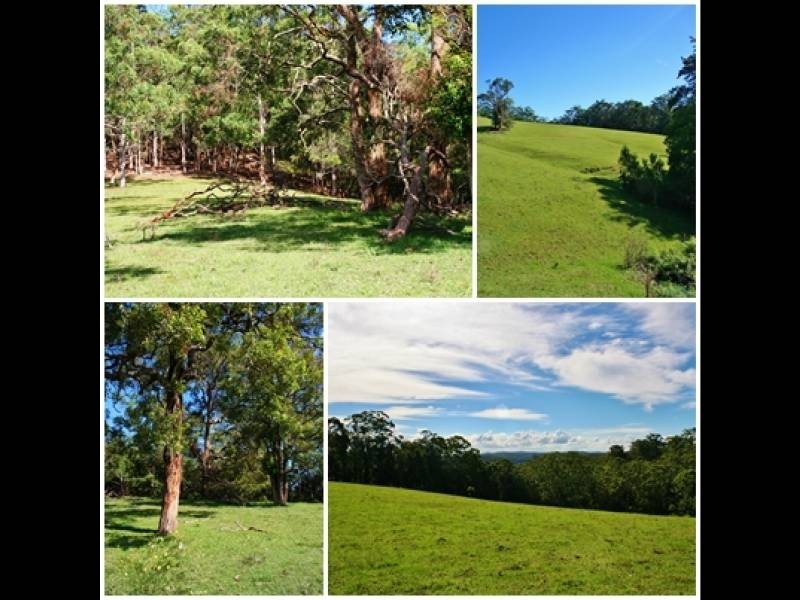 51 Coorara Road, Lisarow NSW 2250