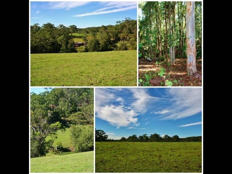 51 Coorara Road, Lisarow NSW 2250