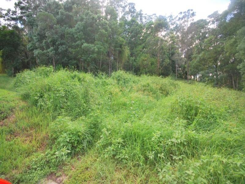 84 Shirley Street, Ourimbah NSW 2258