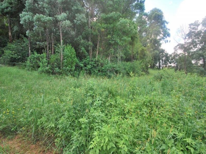 84 Shirley Street, Ourimbah NSW 2258