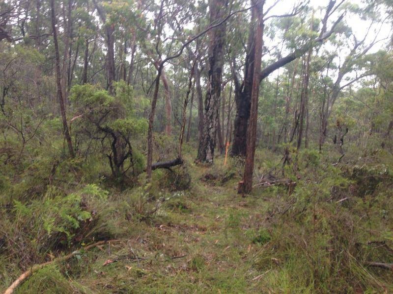 1860 George Downes Drive, Kulnura NSW 2250