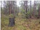 1860 George Downes Drive, Kulnura NSW 2250