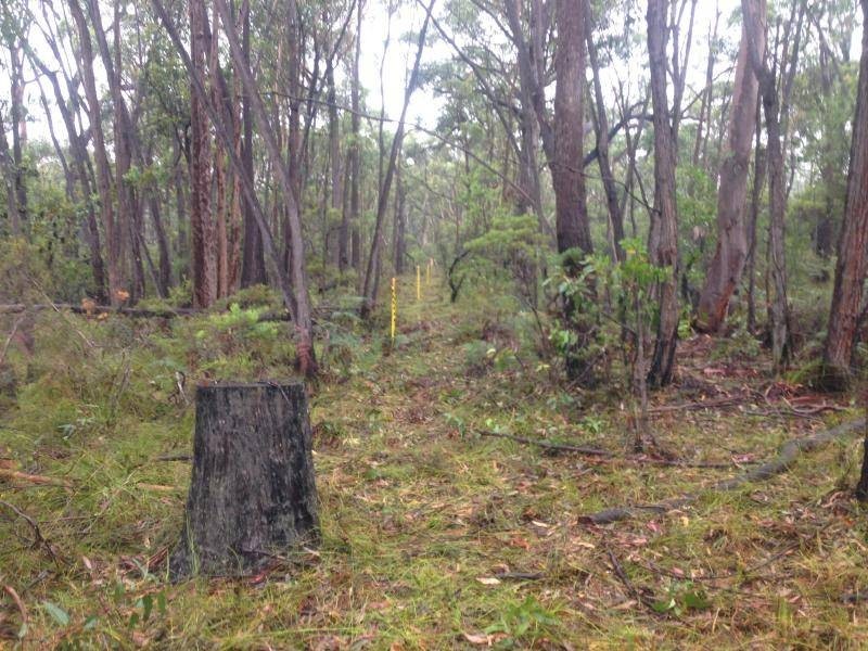 1860 George Downes Drive, Kulnura NSW 2250