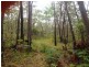 1860 George Downes Drive, Kulnura NSW 2250
