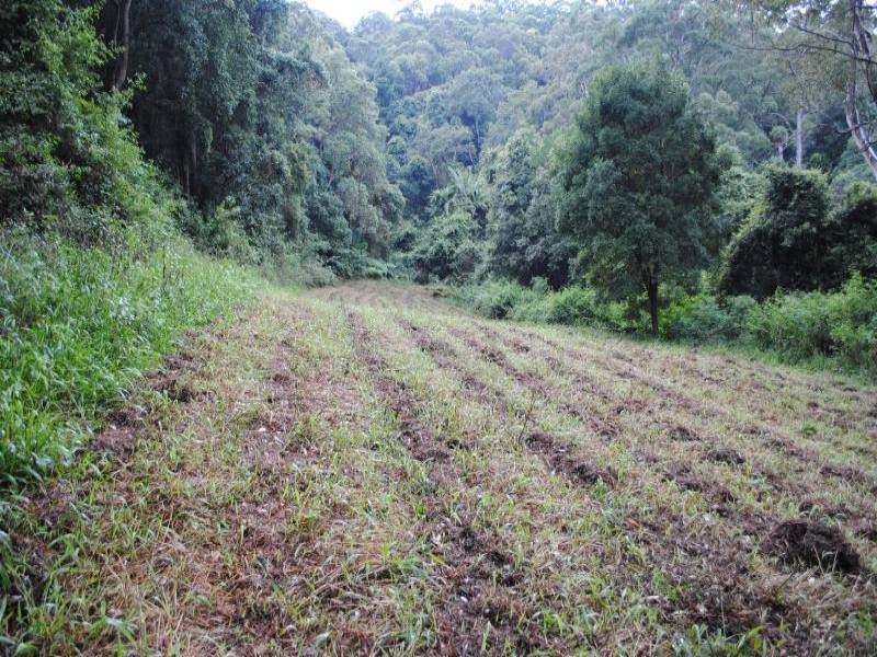 272 The Ridgeway, Holgate NSW 2250