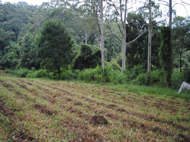 272 The Ridgeway, Holgate NSW 2250