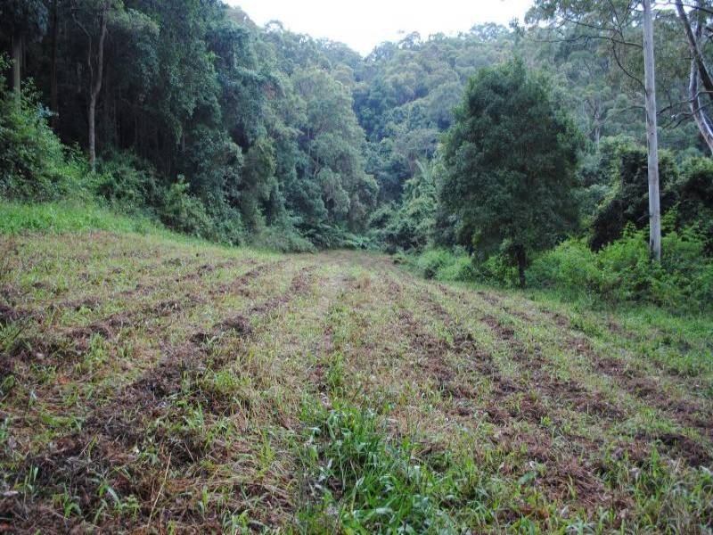 272 The Ridgeway, Holgate NSW 2250