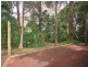 8 Heather Cresent, Wyoming NSW 2250
