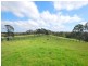 122 Lillicrapps Road, Mangrove Mountain NSW 2250