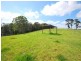 122 Lillicrapps Road, Mangrove Mountain NSW 2250