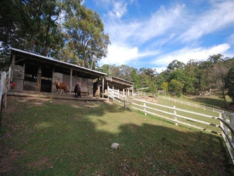 451 The Ridgeway, Tumbi Umbi NSW 2261