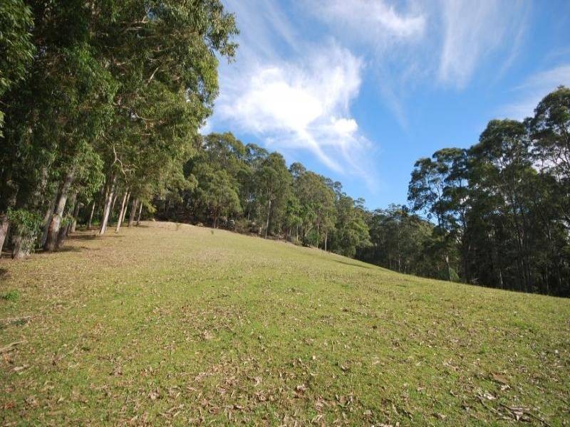 451 The Ridgeway, Tumbi Umbi NSW 2261