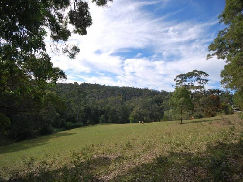 451 The Ridgeway, Tumbi Umbi NSW 2261