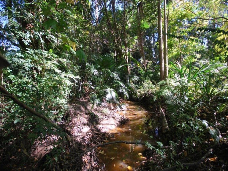 107A Carrington Street, Narara NSW 2250