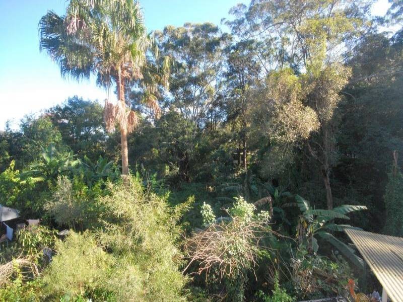 11 Lemon Tree Close, Wyoming NSW 2250