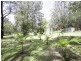 Coomba Park NSW 2428