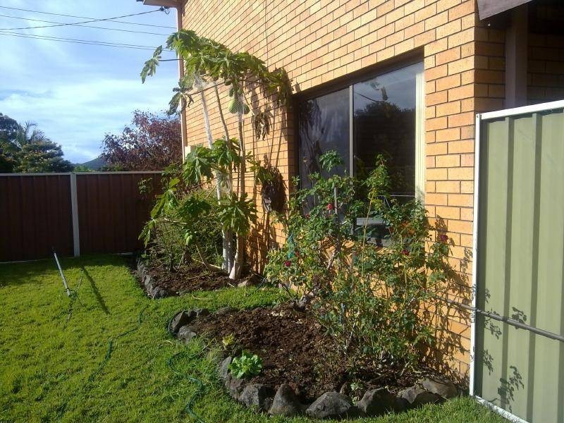 Forster NSW 2428