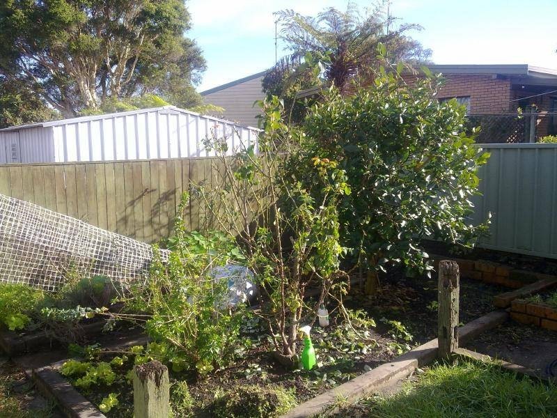 Forster NSW 2428
