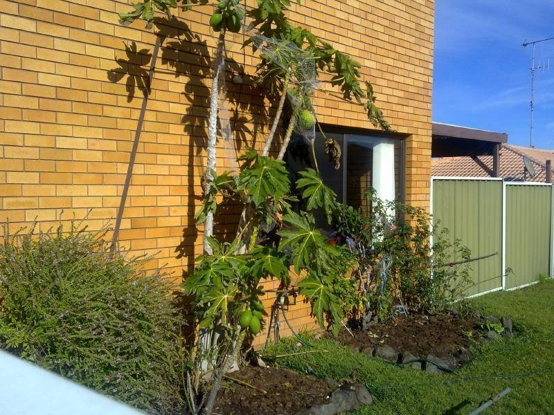 Forster NSW 2428