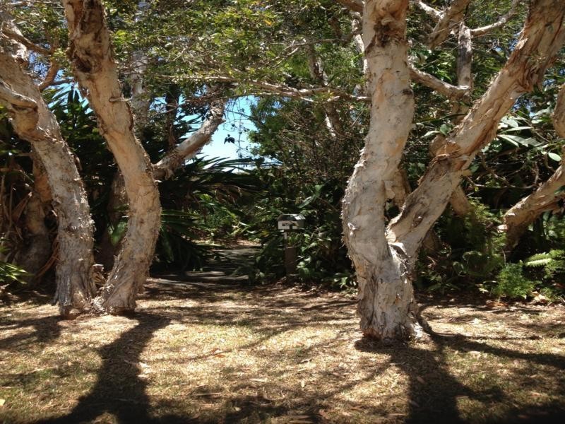 Dicky Beach QLD 4551