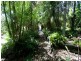 Aroona QLD 4551