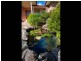 3 Gla-nor Drive, Stanthorpe QLD 4380