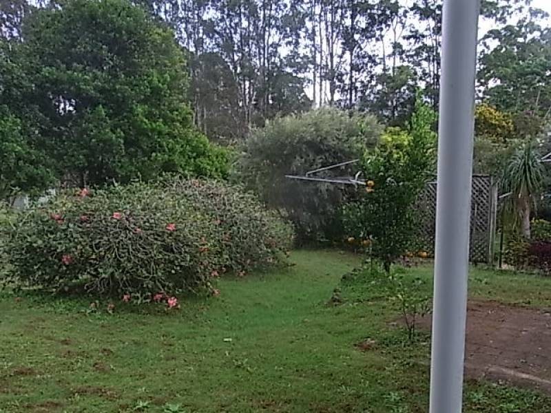 Palmwoods QLD 4555