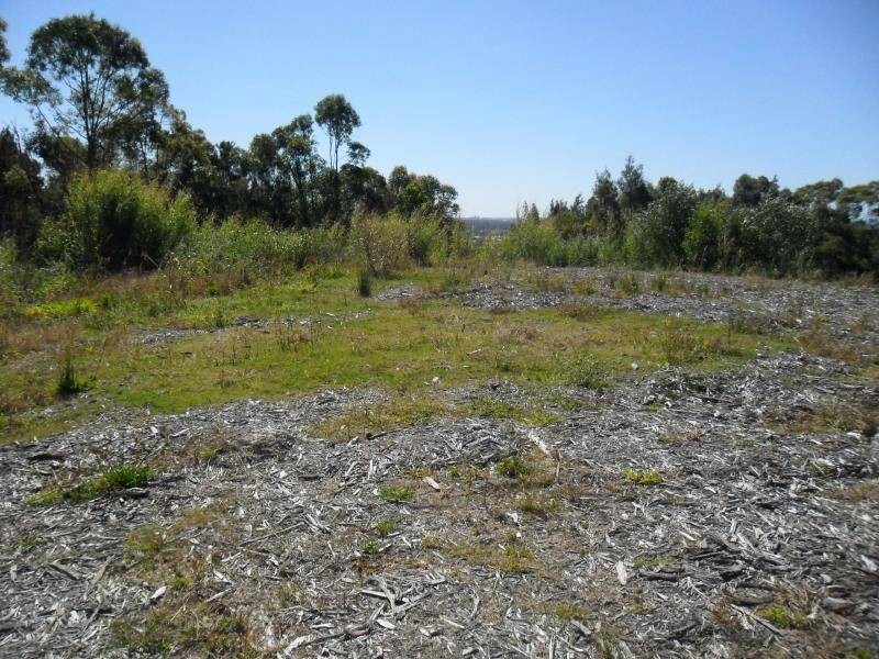 Little Mountain QLD 4551