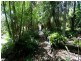 7 Musa Place, Aroona QLD 4551