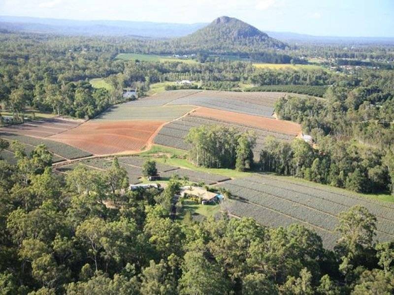 276 Barrs Road, Glass House Mountains QLD 4518