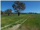 “ROSEDALE” RATHMELLS LANE, Cootamundra NSW 2590