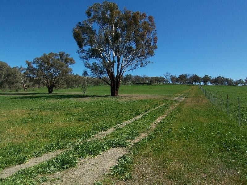 “ROSEDALE” RATHMELLS LANE, Cootamundra NSW 2590