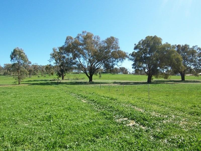 “ROSEDALE” RATHMELLS LANE, Cootamundra NSW 2590