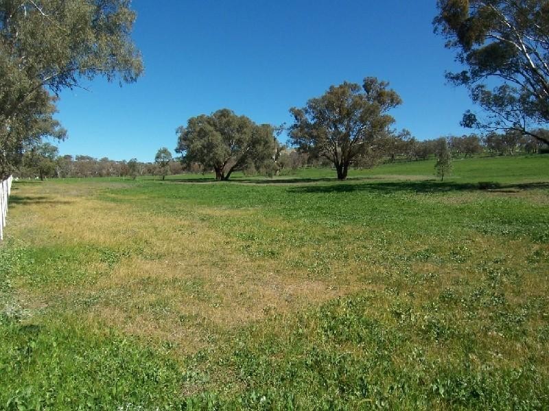 “ROSEDALE” RATHMELLS LANE, Cootamundra NSW 2590